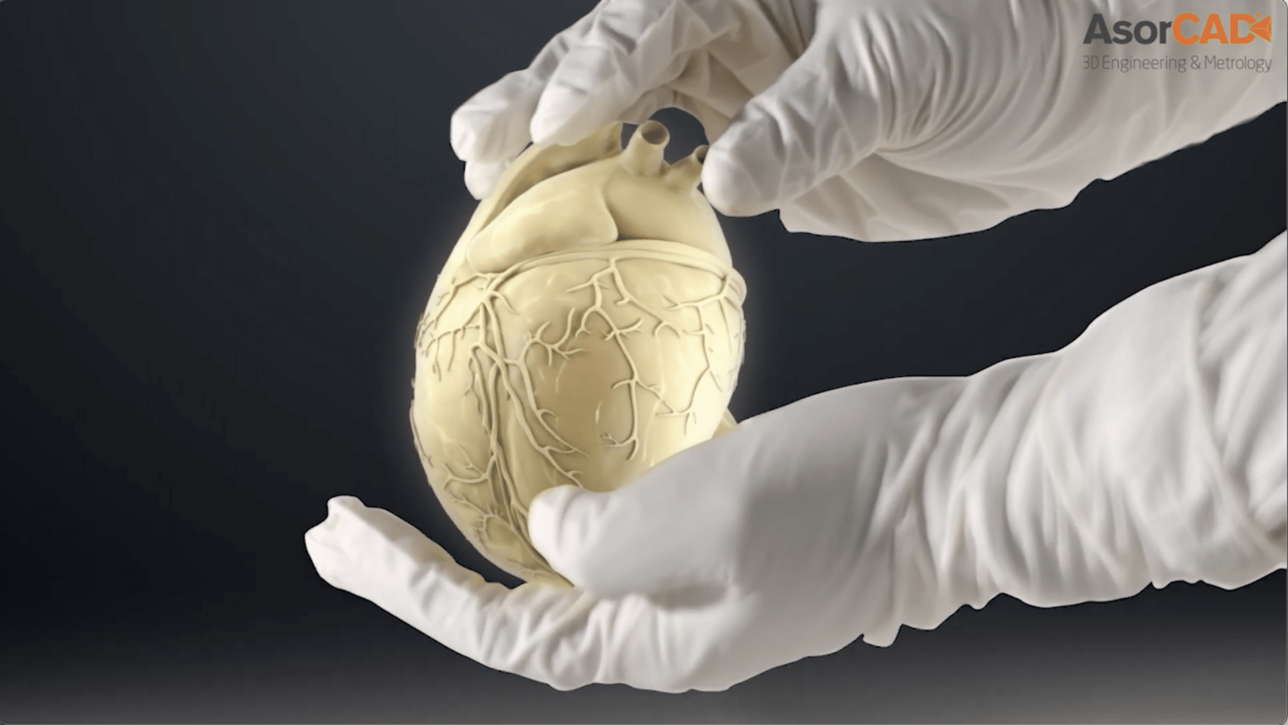 Software 3D Geomagic para la salud